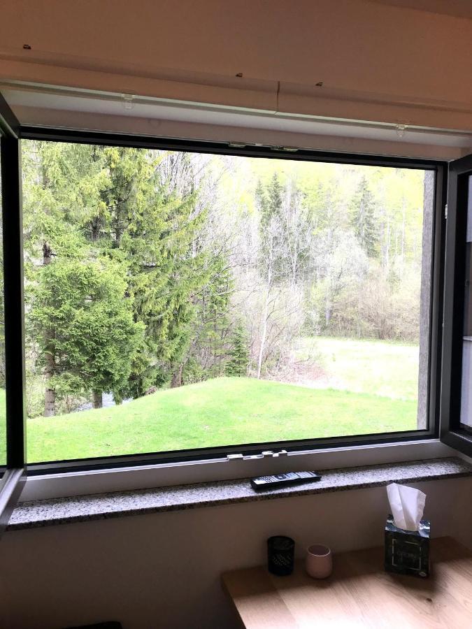 Apartment Loyd, Kranjska Gora - Studio ภายนอก รูปภาพ